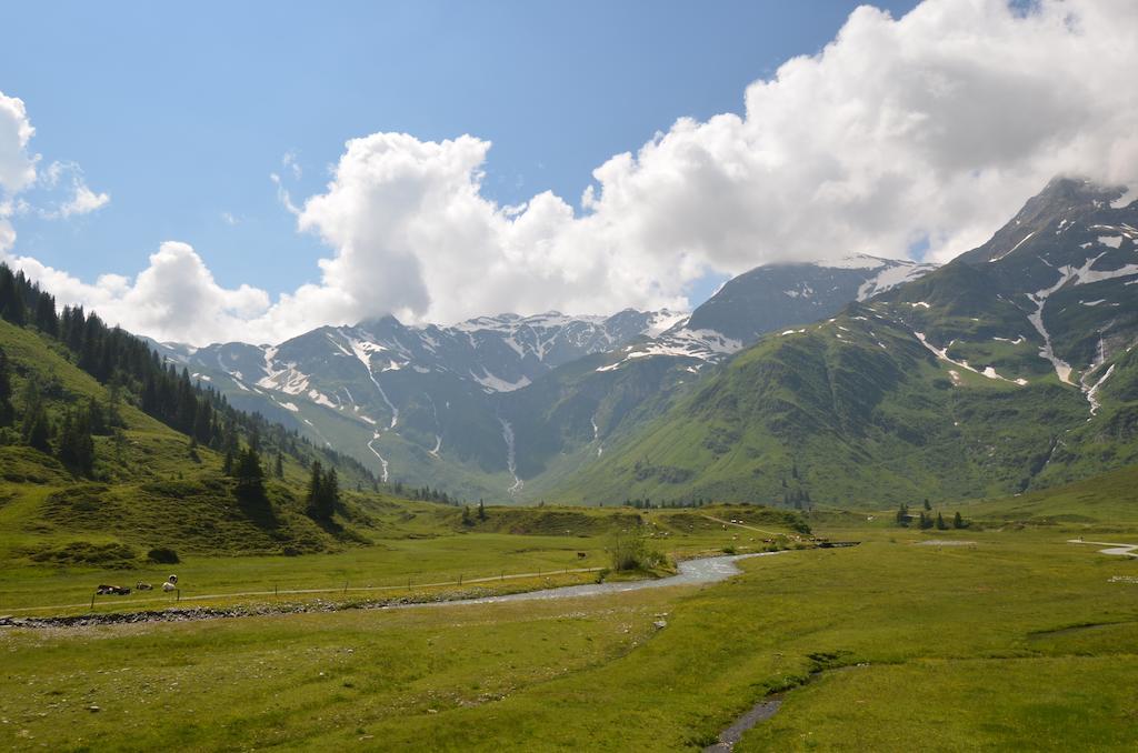 Winklers Gipfelblick Chalet, Inklusive Alpentherme - Ganzjahrig, Gasteiner Bergbahn - Nur Sommer バート・ホーフガシュタイン エクステリア 写真